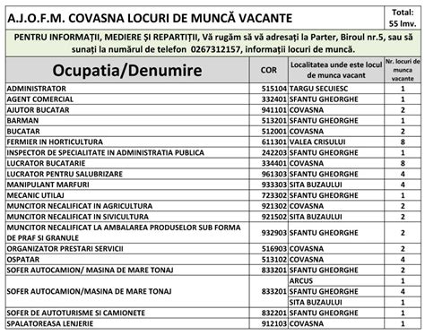 Angajări la stat, în judeţul Bihor. Lista completă și termenele de ...